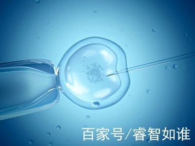 试管婴儿供卵代生咨询